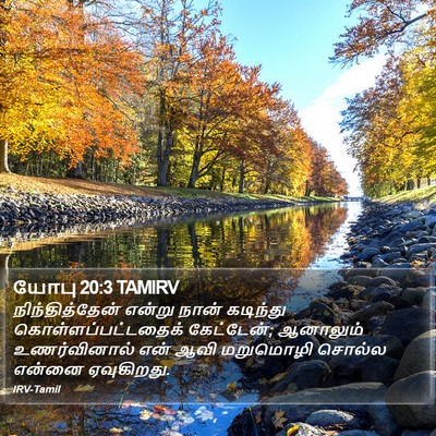 யோபு 20:3 TAMIRV Bible Verse Image
