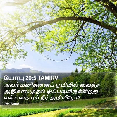 யோபு 20:5 TAMIRV Bible Verse Image