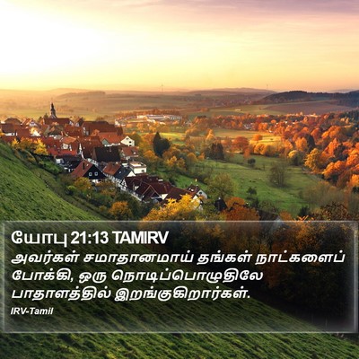 யோபு 21:13 TAMIRV Bible Verse Image