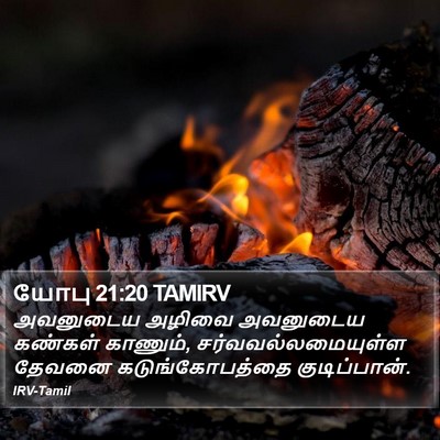 யோபு 21:20 TAMIRV Bible Verse Image