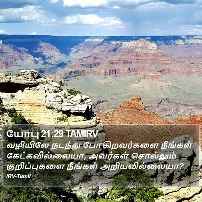 யோபு 21:29 TAMIRV Bible Verse Image