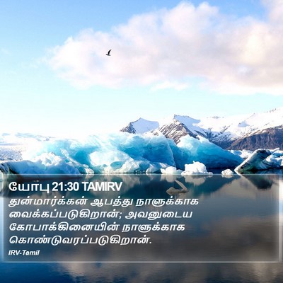 யோபு 21:30 TAMIRV Bible Verse Image