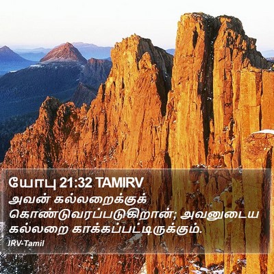 யோபு 21:32 TAMIRV Bible Verse Image
