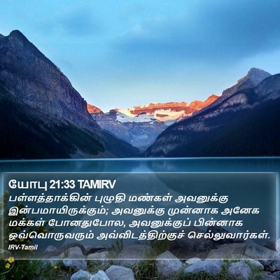 யோபு 21:33 TAMIRV Bible Verse Image