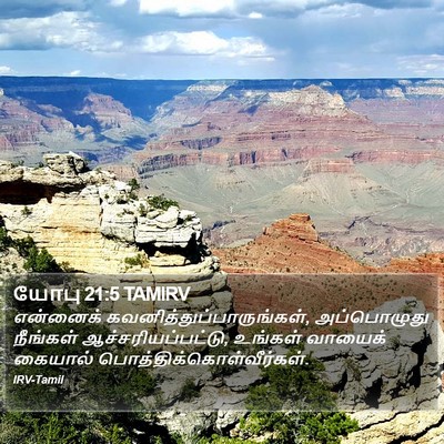 யோபு 21:5 TAMIRV Bible Verse Image