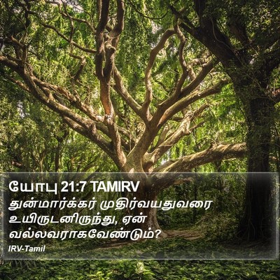 யோபு 21:7 TAMIRV Bible Verse Image