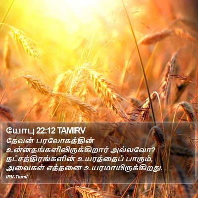 யோபு 22:12 TAMIRV Bible Verse Image