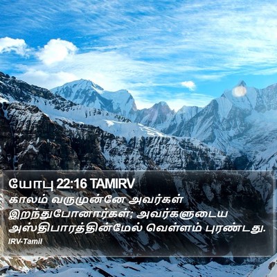 யோபு 22:16 TAMIRV Bible Verse Image