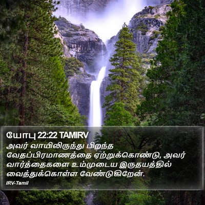 யோபு 22:22 TAMIRV Bible Verse Image