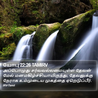யோபு 22:26 TAMIRV Bible Verse Image