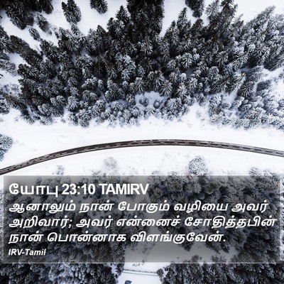 யோபு 23:10 TAMIRV Bible Verse Image