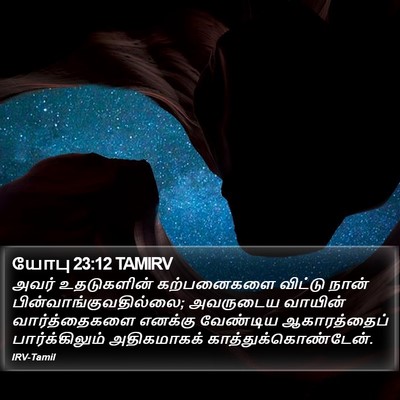 யோபு 23:12 TAMIRV Bible Verse Image