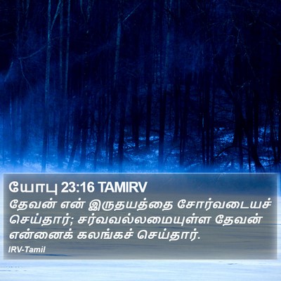 யோபு 23:16 TAMIRV Bible Verse Image