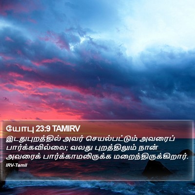 யோபு 23:9 TAMIRV Bible Verse Image
