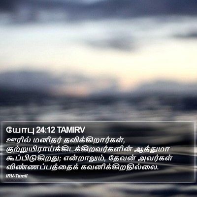 யோபு 24:12 TAMIRV Bible Verse Image