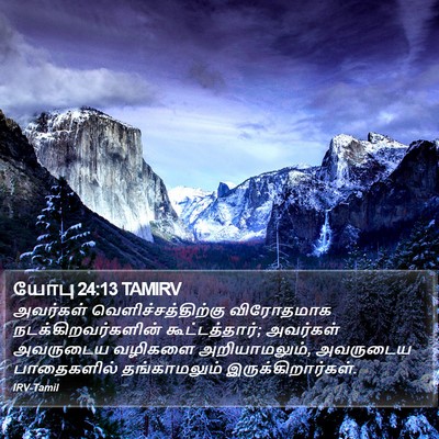 யோபு 24:13 TAMIRV Bible Verse Image