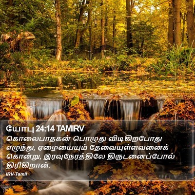 யோபு 24:14 TAMIRV Bible Verse Image