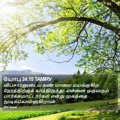 யோபு 24:15 TAMIRV Bible Verse Image