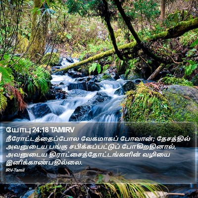 யோபு 24:18 TAMIRV Bible Verse Image