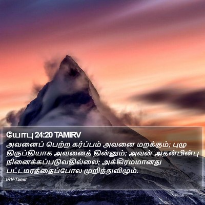 யோபு 24:20 TAMIRV Bible Verse Image
