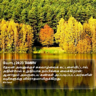 யோபு 24:23 TAMIRV Bible Verse Image