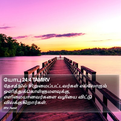 யோபு 24:4 TAMIRV Bible Verse Image