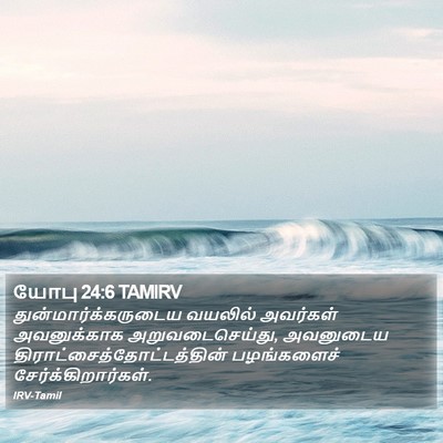 யோபு 24:6 TAMIRV Bible Verse Image