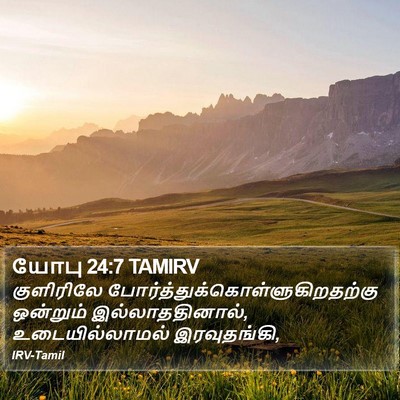 யோபு 24:7 TAMIRV Bible Verse Image