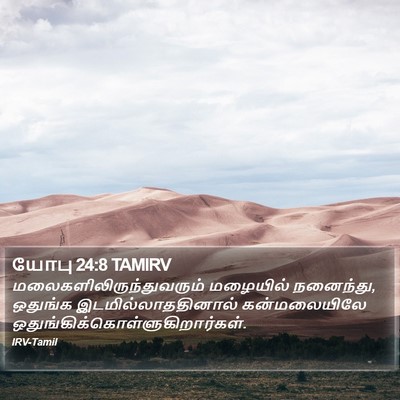 யோபு 24:8 TAMIRV Bible Verse Image