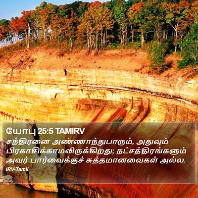 யோபு 25:5 TAMIRV Bible Verse Image