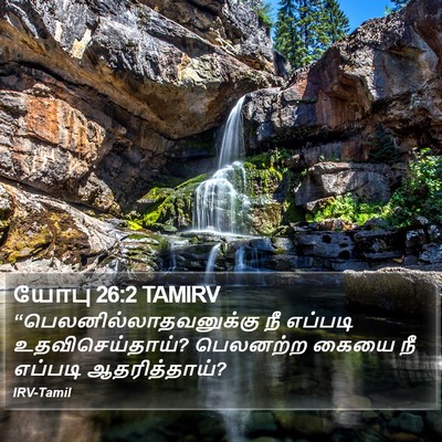 யோபு 26:2 TAMIRV Bible Verse Image