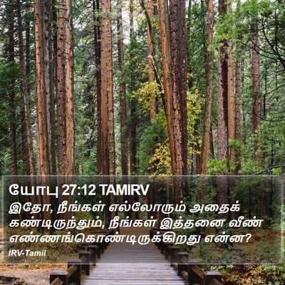 யோபு 27:12 TAMIRV Bible Verse Image