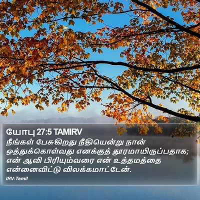 யோபு 27:5 TAMIRV Bible Verse Image