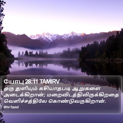 யோபு 28:11 TAMIRV Bible Verse Image