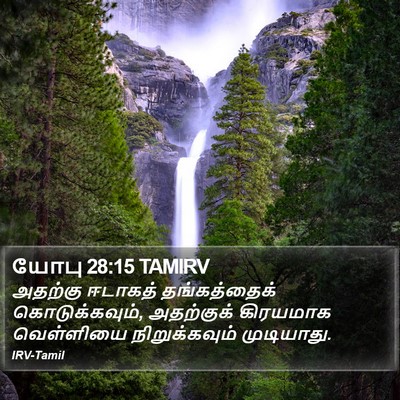 யோபு 28:15 TAMIRV Bible Verse Image
