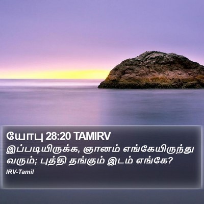 யோபு 28:20 TAMIRV Bible Verse Image