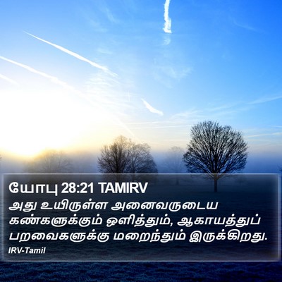 யோபு 28:21 TAMIRV Bible Verse Image