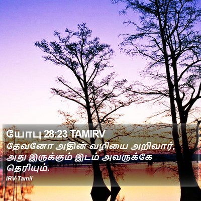 யோபு 28:23 TAMIRV Bible Verse Image