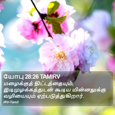 யோபு 28:26 TAMIRV Bible Verse Image
