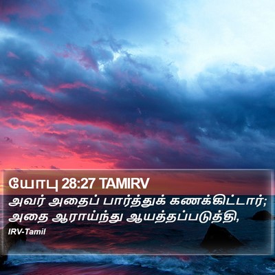 யோபு 28:27 TAMIRV Bible Verse Image