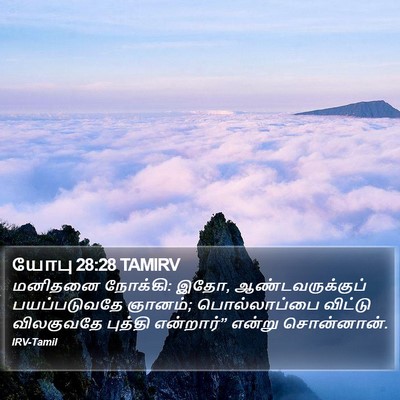 யோபு 28:28 TAMIRV Bible Verse Image