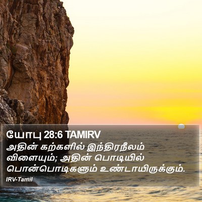 யோபு 28:6 TAMIRV Bible Verse Image