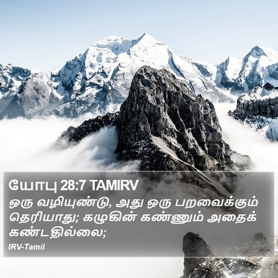 யோபு 28:7 TAMIRV Bible Verse Image