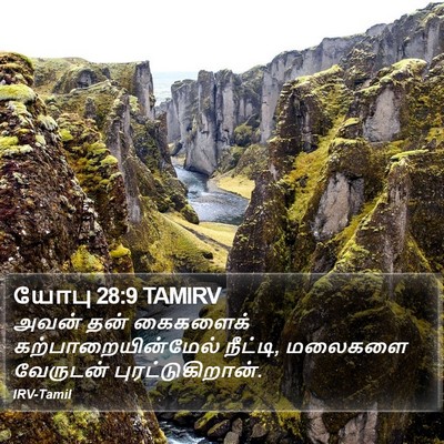 யோபு 28:9 TAMIRV Bible Verse Image