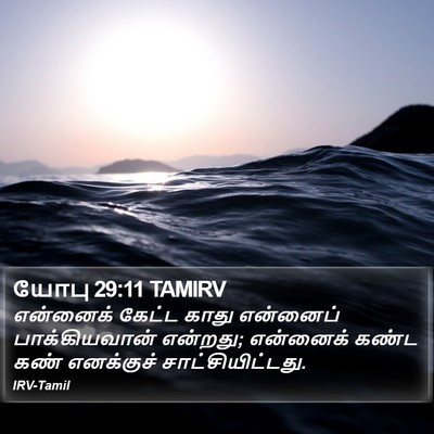 யோபு 29:11 TAMIRV Bible Verse Image