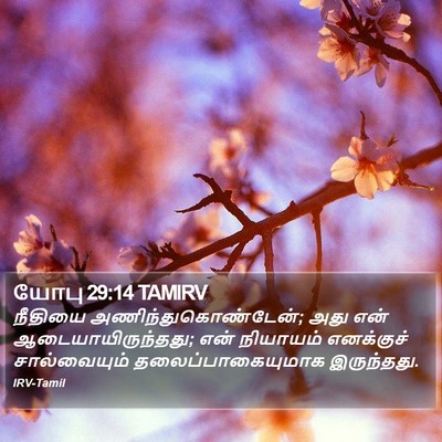 யோபு 29:14 TAMIRV Bible Verse Image