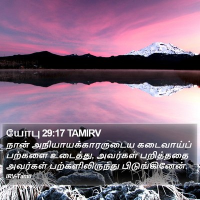 யோபு 29:17 TAMIRV Bible Verse Image