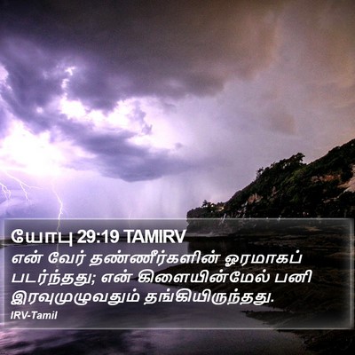 யோபு 29:19 TAMIRV Bible Verse Image