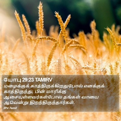 யோபு 29:23 TAMIRV Bible Verse Image