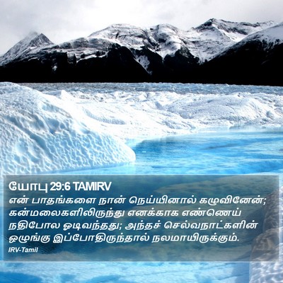 யோபு 29:6 TAMIRV Bible Verse Image
